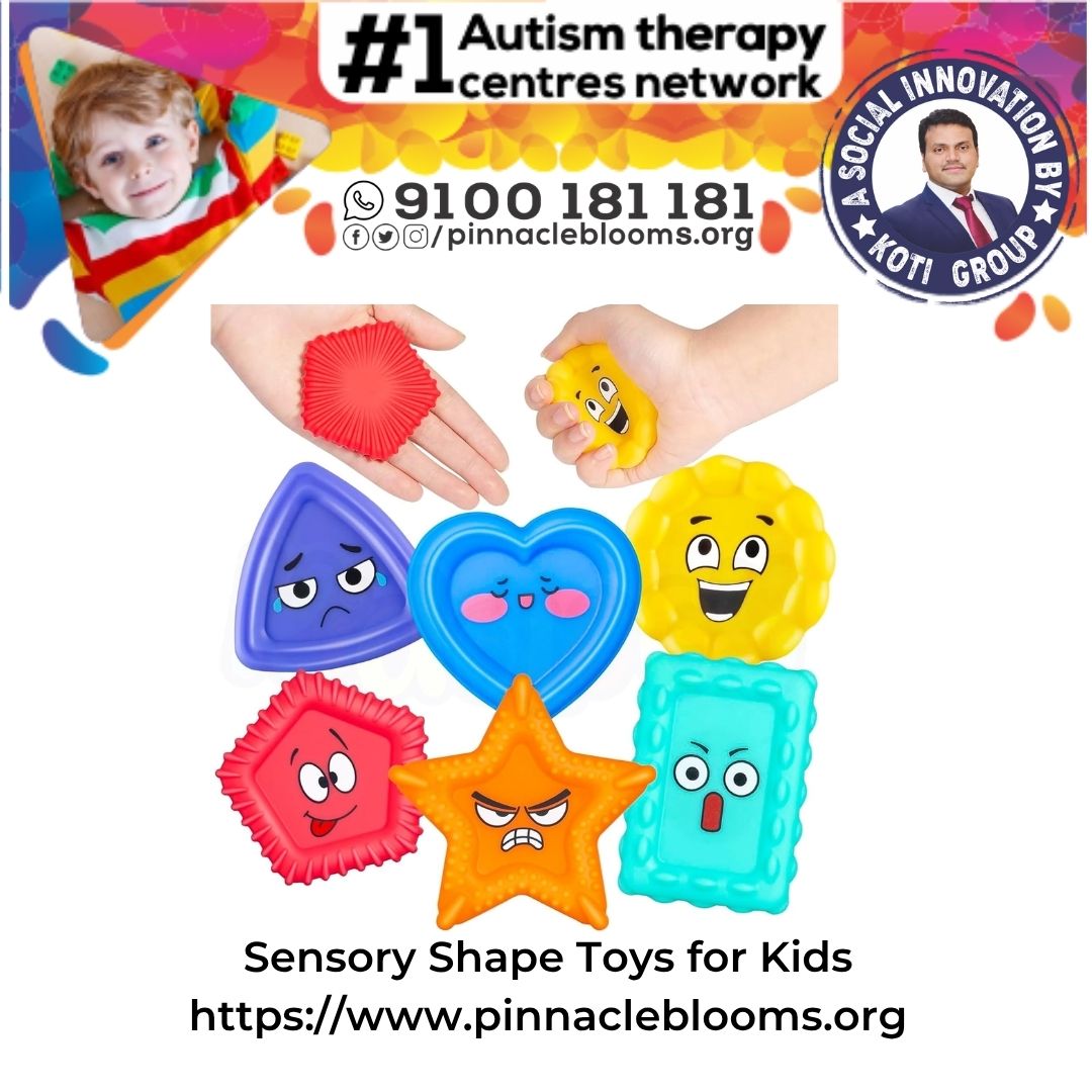 Sensory Shape Toys for Kids