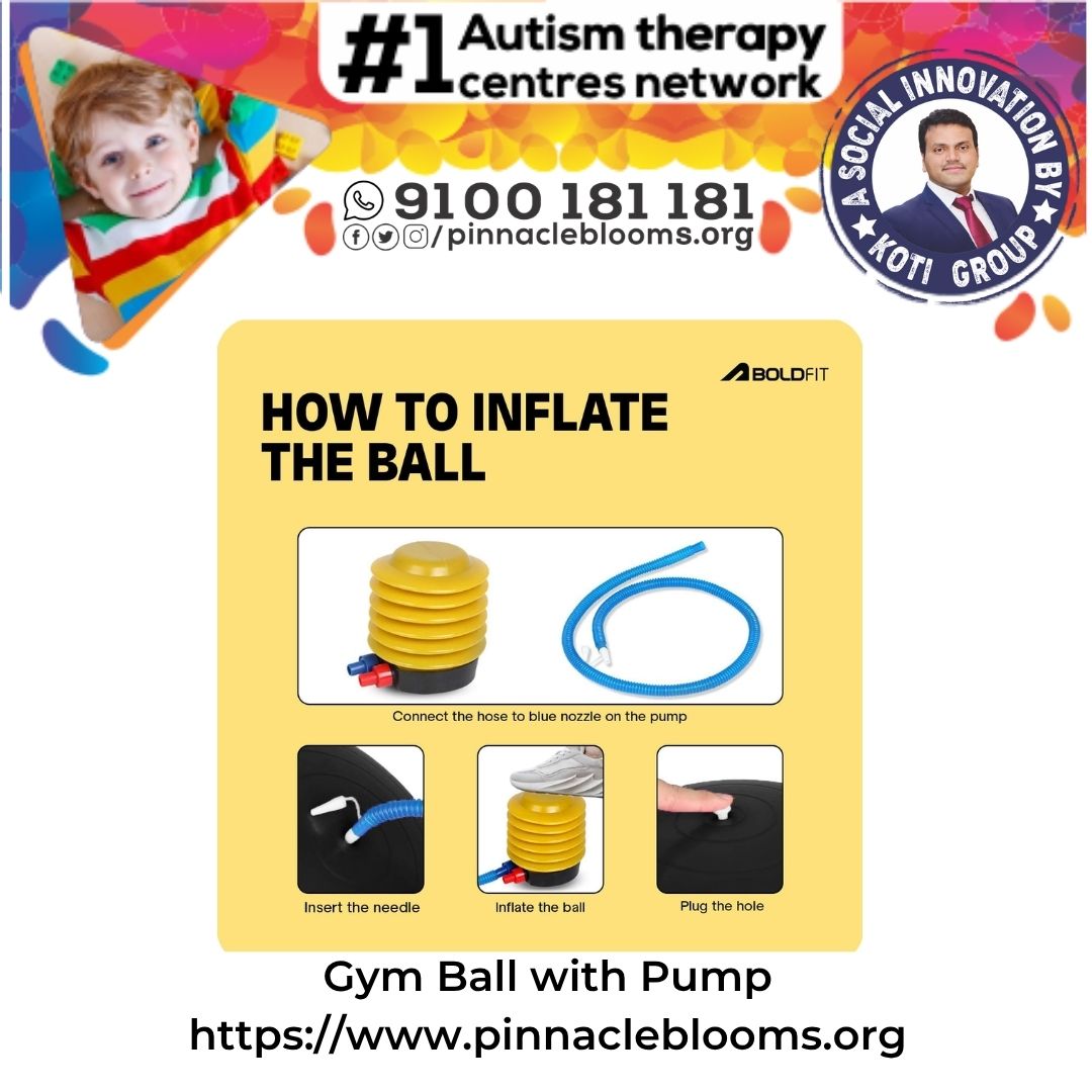 Gym Ball with Pump