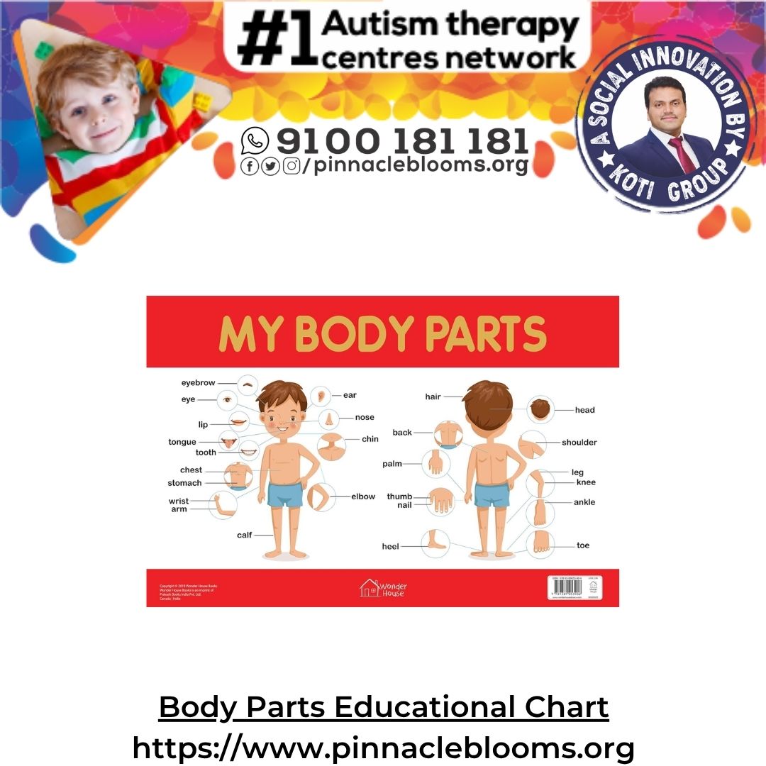 Body Parts Educational Chart