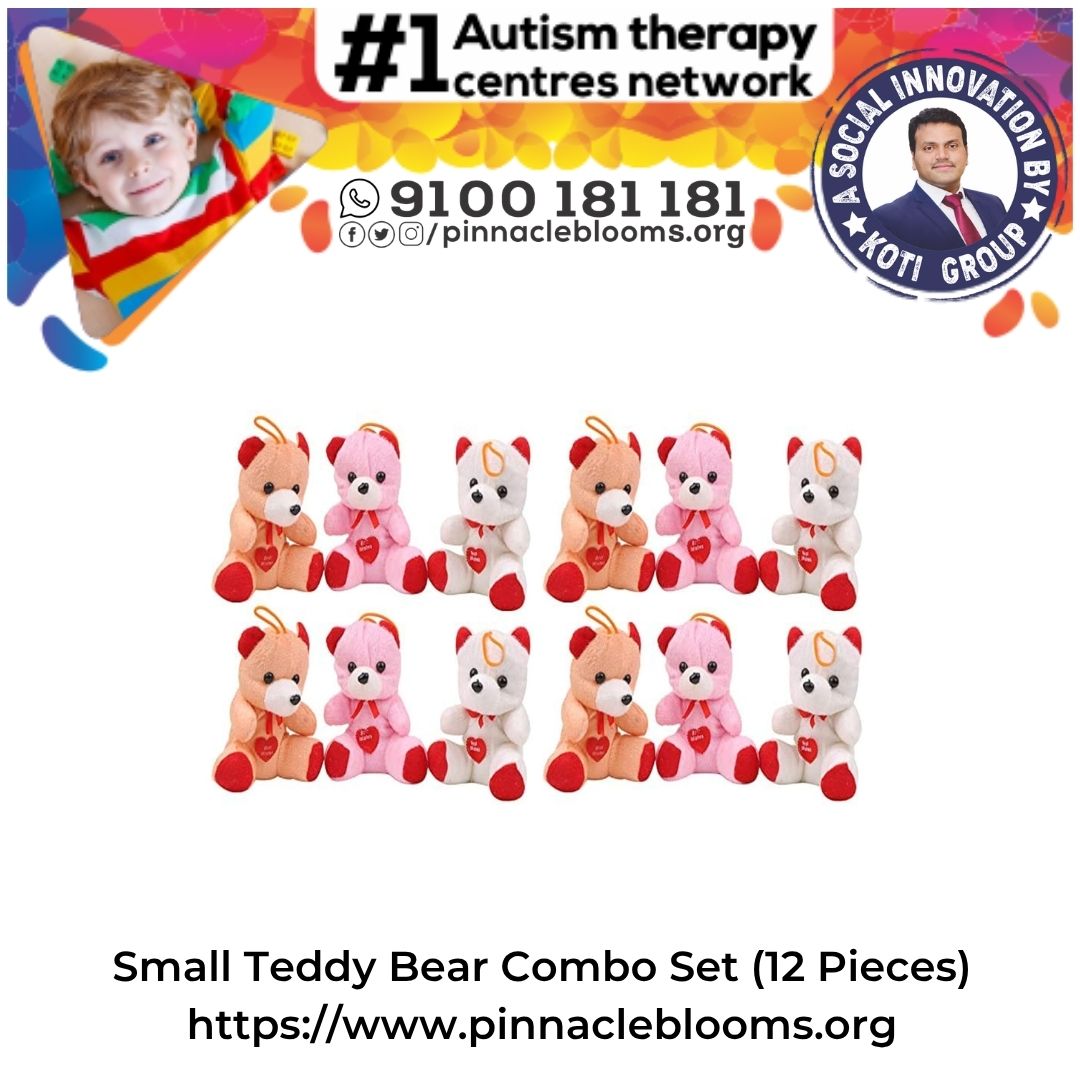 Small Teddy Bear Combo Set (12 Pieces)