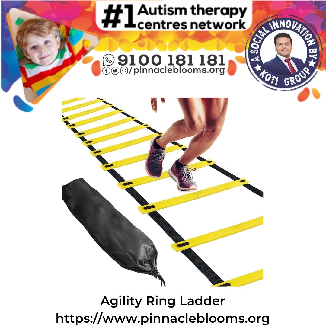 Agility Ring Ladder