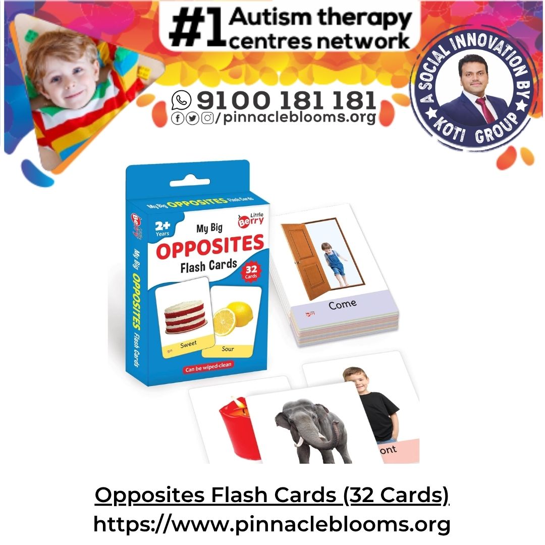 Opposites Flash Cards (32 Cards)