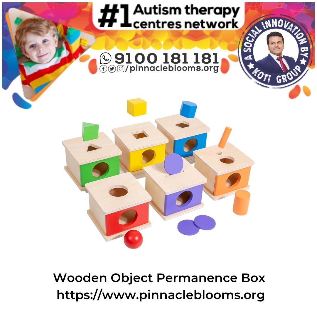 Wooden Object Permanence Box