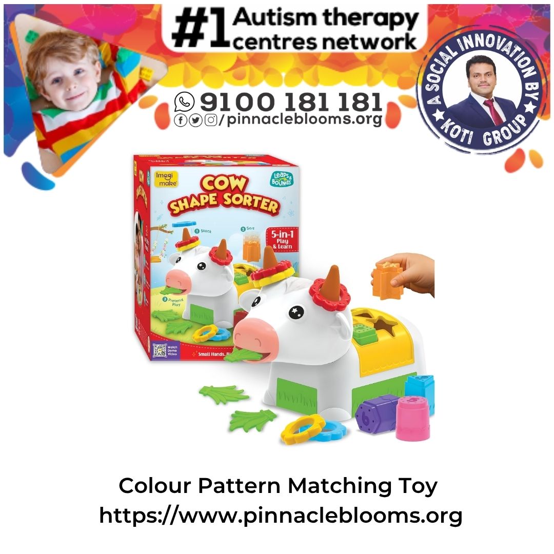 Colour Pattern Matching Toy