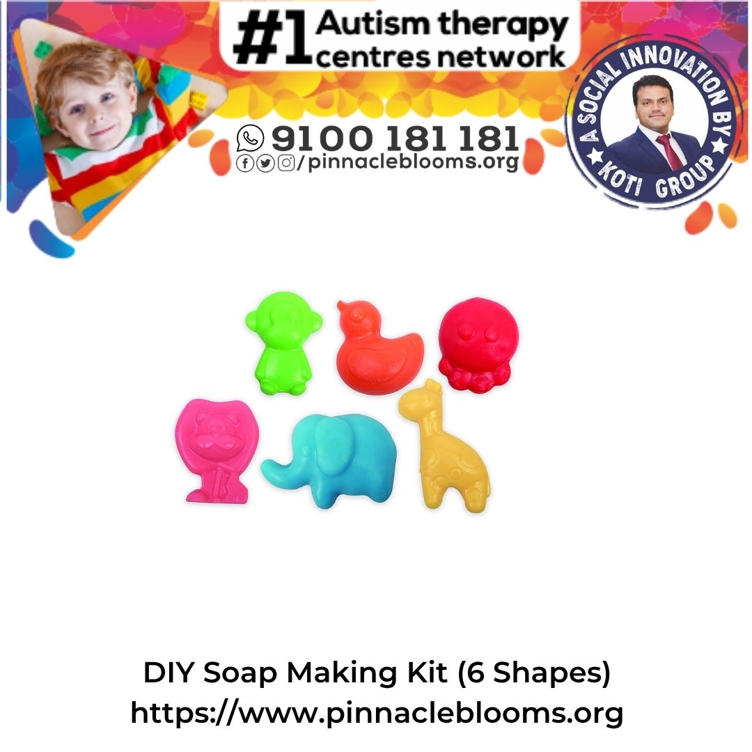 DIY Soap Making Kit (6 Shapes)