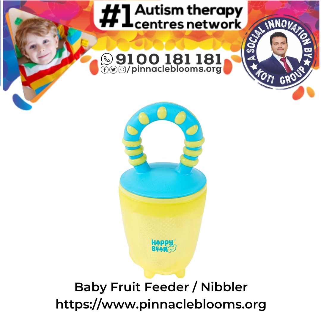 Baby Fruit Feeder / Nibbler
