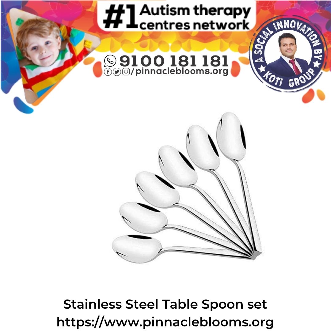 Stainless Steel Table Spoon Set