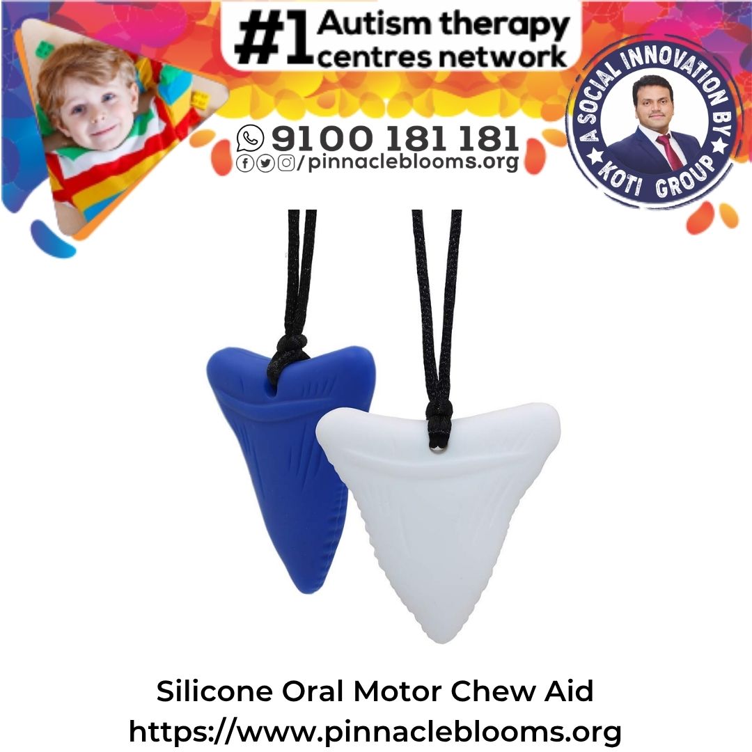 Silicone Oral Motor Chew Aid