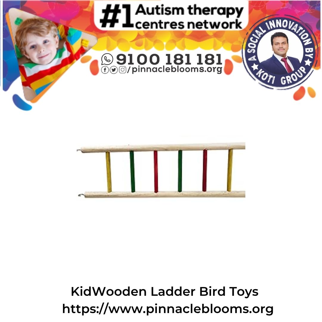Wooden Ladder Bird Toy