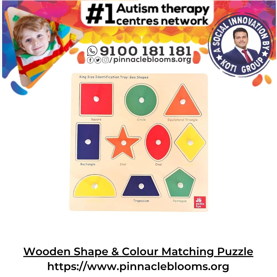Wooden Shape & Colour Matching Puzzle