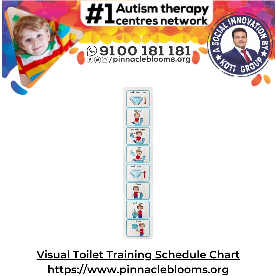 Visual Toilet Training Schedule Chart
