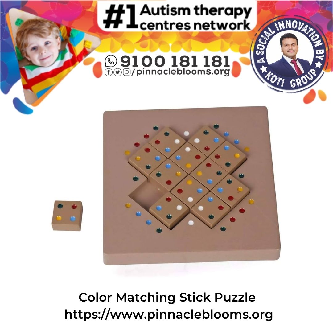 Color Matching Stick Puzzle