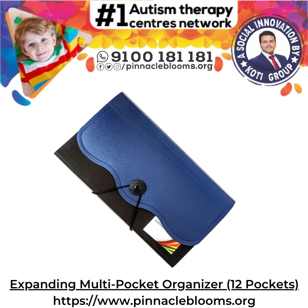 Expanding Multi-Pocket Organizer (12 Pockets)