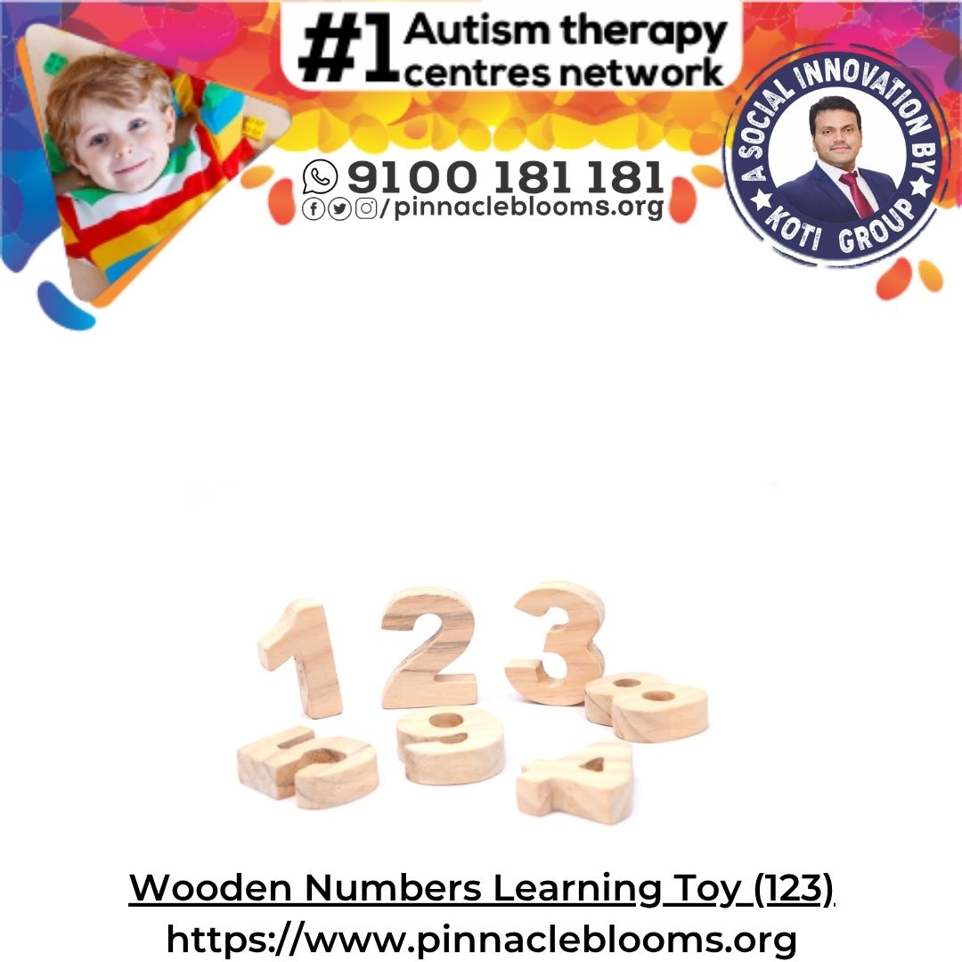 Wooden Numbers Learning Toy (123)