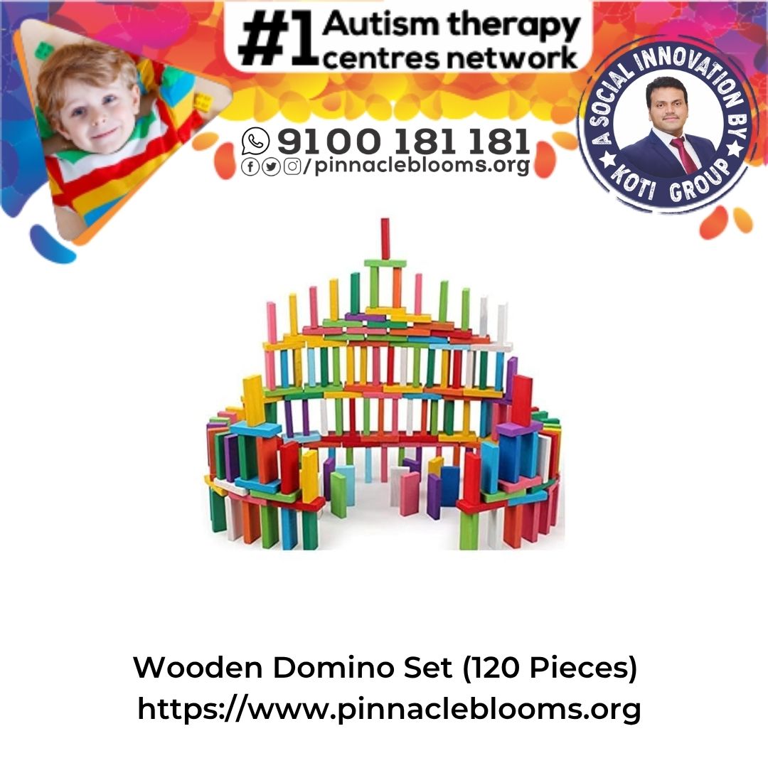 Wooden Domino Set (120 Pieces)