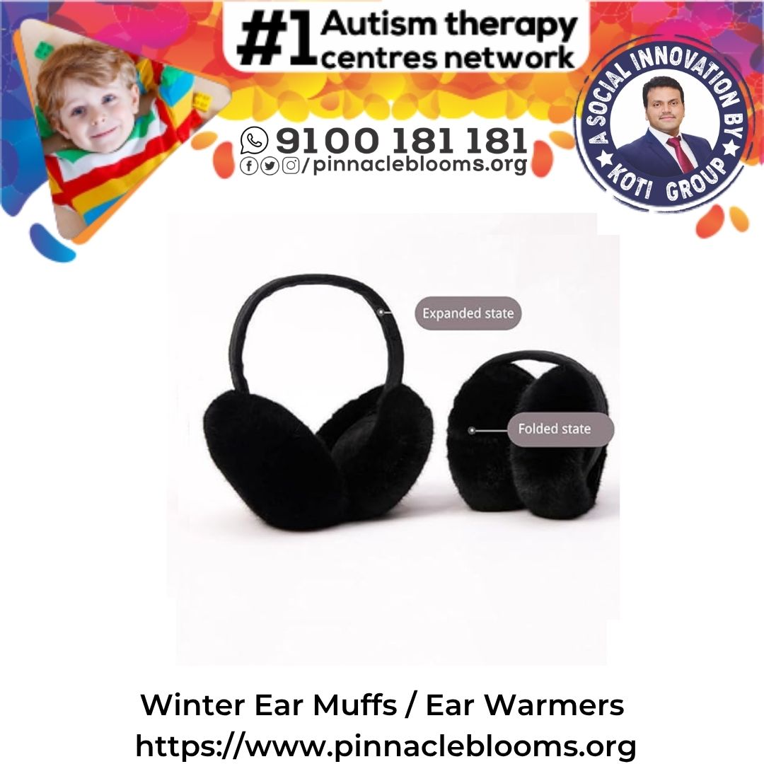Winter Ear Muffs / Ear Warmers