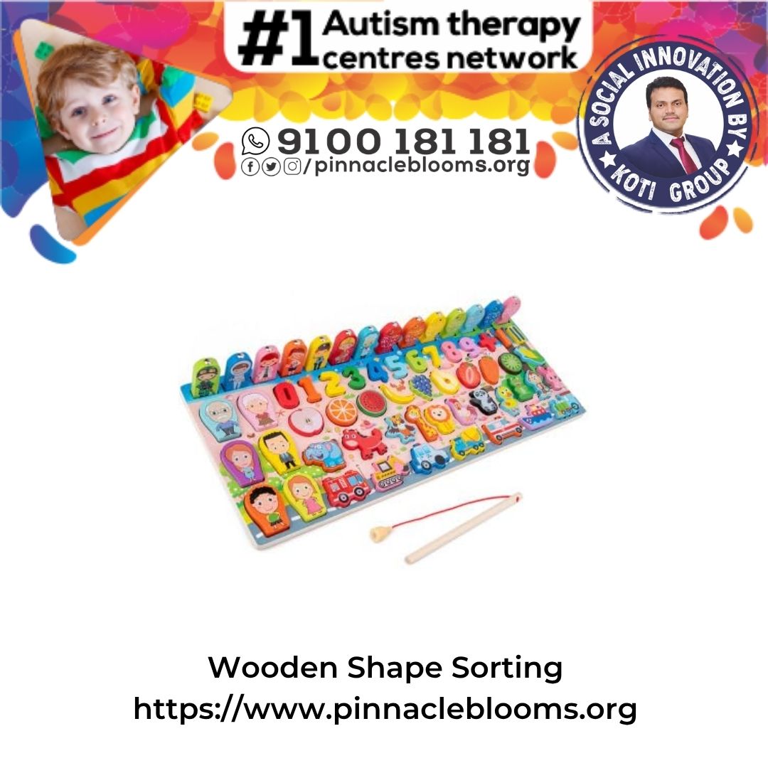 Wooden Shape Sorting Game