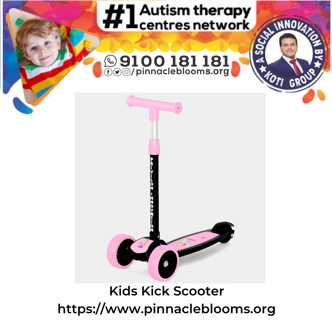 Kids Kick Scooter