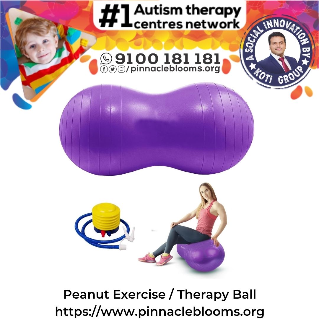 Peanut Exercise / Therapy Ball