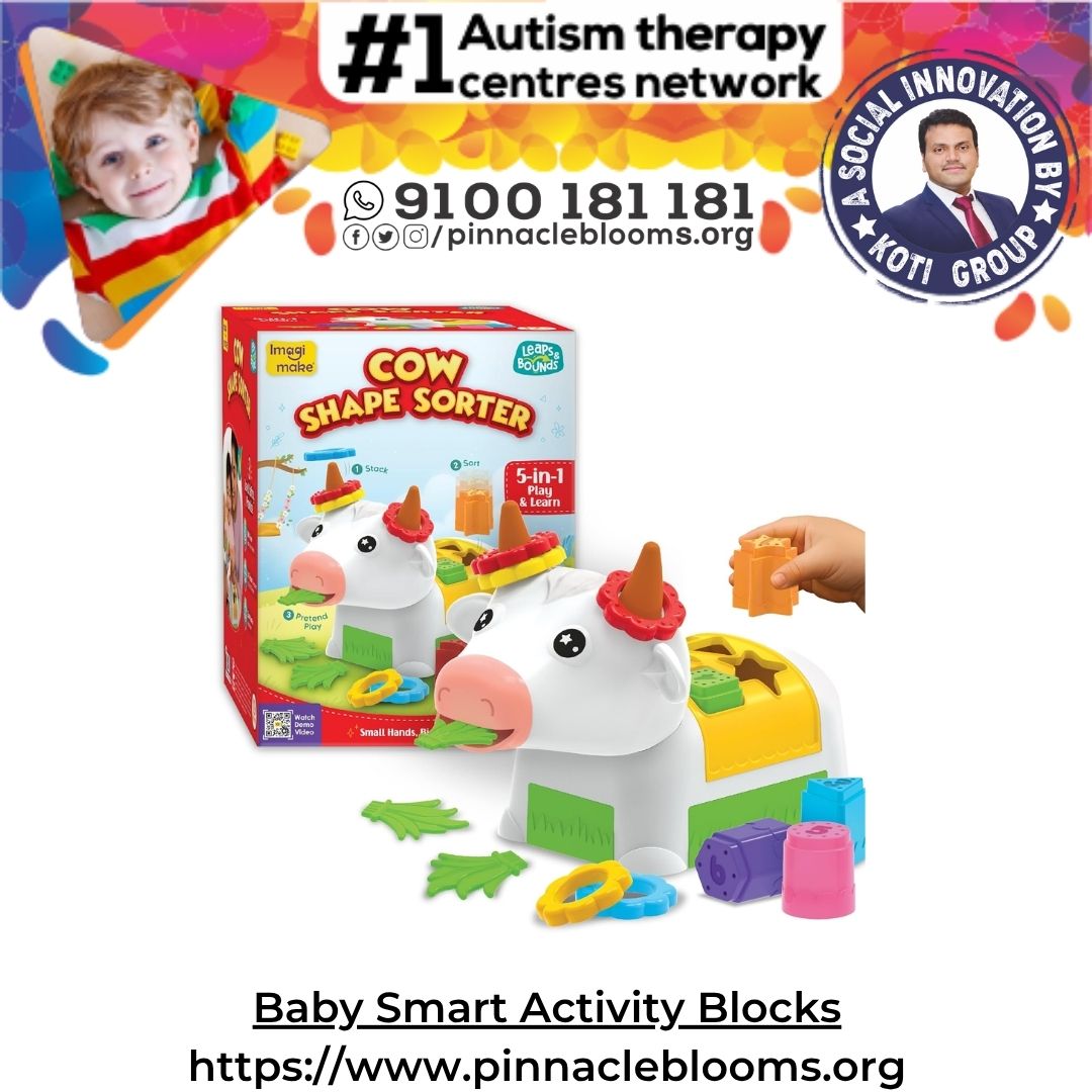 Baby Smart Activity Blocks
