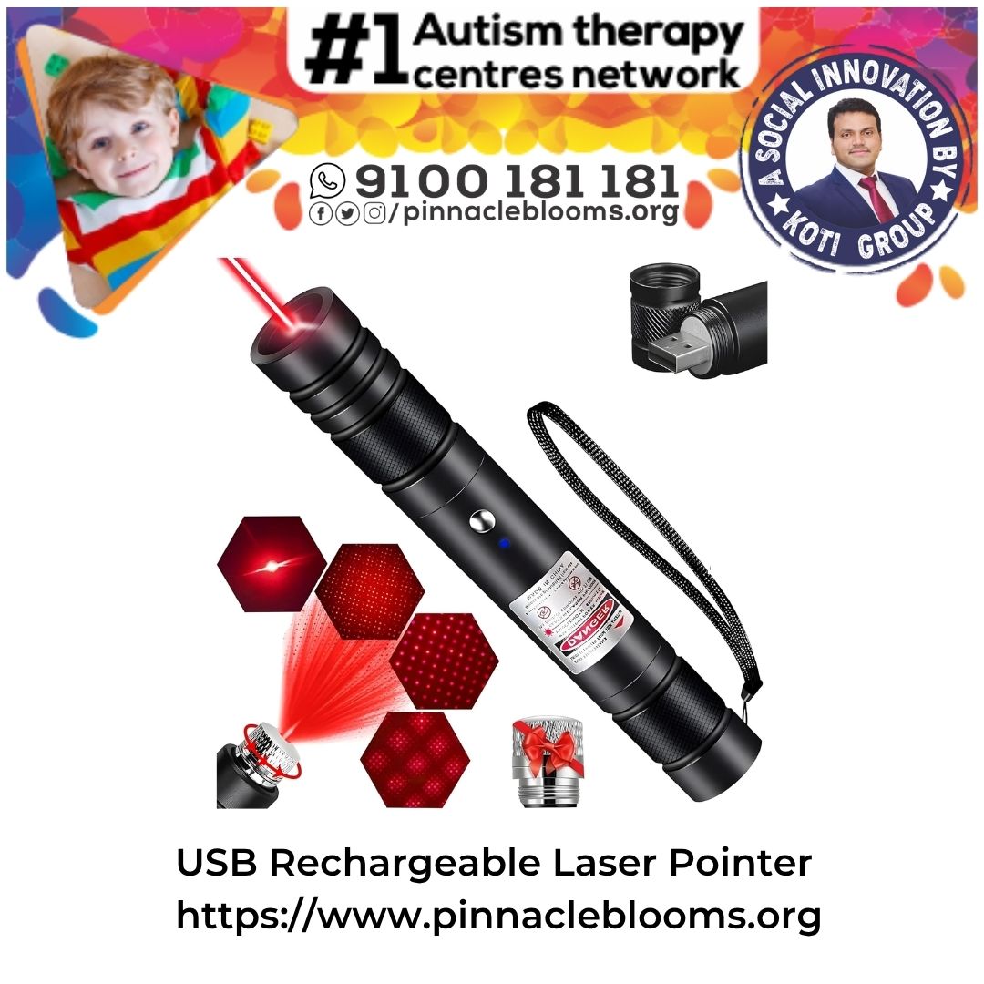 USB Rechargeable Laser Pointer