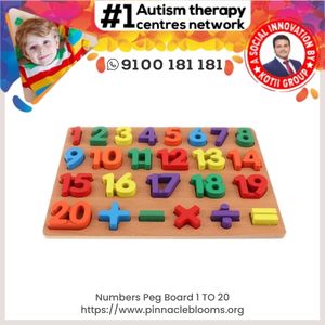 Numbers Peg Board 1 TO 20