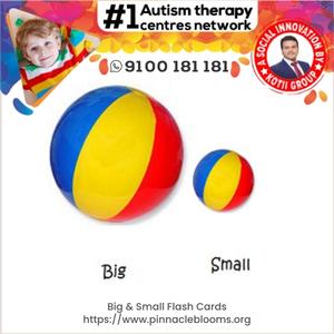 Big & Small Flash Cards