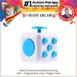 NSV - Original Blue Color Fidget Cube