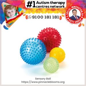 Sensory Ball