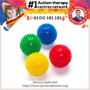 Sensory Spike Ball