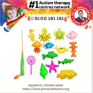 Fish Game/MAGNETIC FISHING GAME