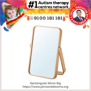 Rectangular Mirror Big