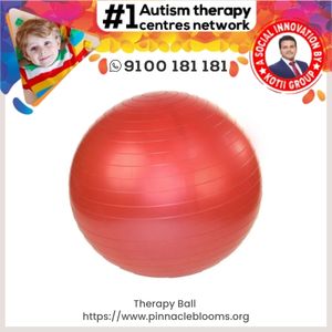 Therapy Ball 