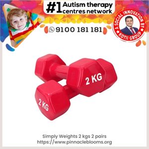 Simply Weights 2 kgs 2 pairs