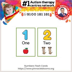 Numbers Flash Cards