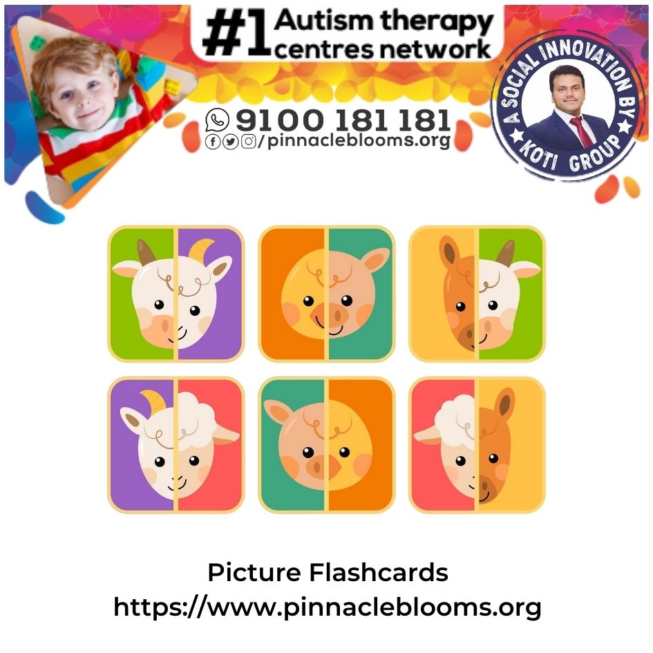 Transforming Lives with Picture Flashcards Therapy Technique for Children with Autism