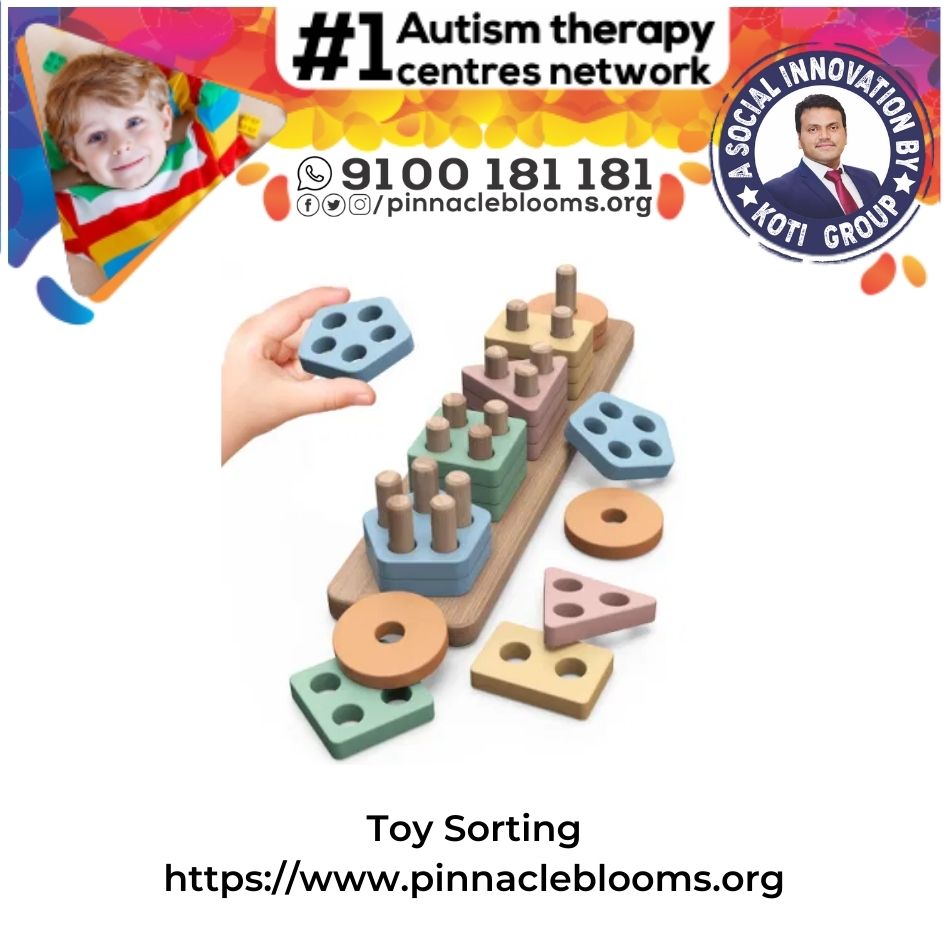 Empowering Lives with Toy Sorting Therapy Technique for Children with Autism