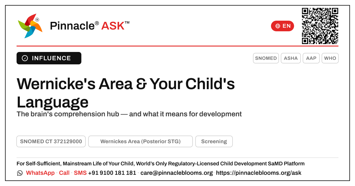 How Does Wernicke's Area Affect a Child's Development? — Pinnacle Ask answer card with a short explanation and QR link