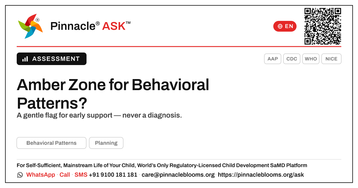 Amber Zone for Behavioral Patterns — What It Means — Pinnacle Ask answer card with a short explanation and QR link