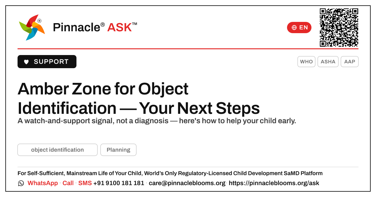 Amber Zone for Object Identification — What To Do Next — Pinnacle Ask answer card with a short explanation and QR link
