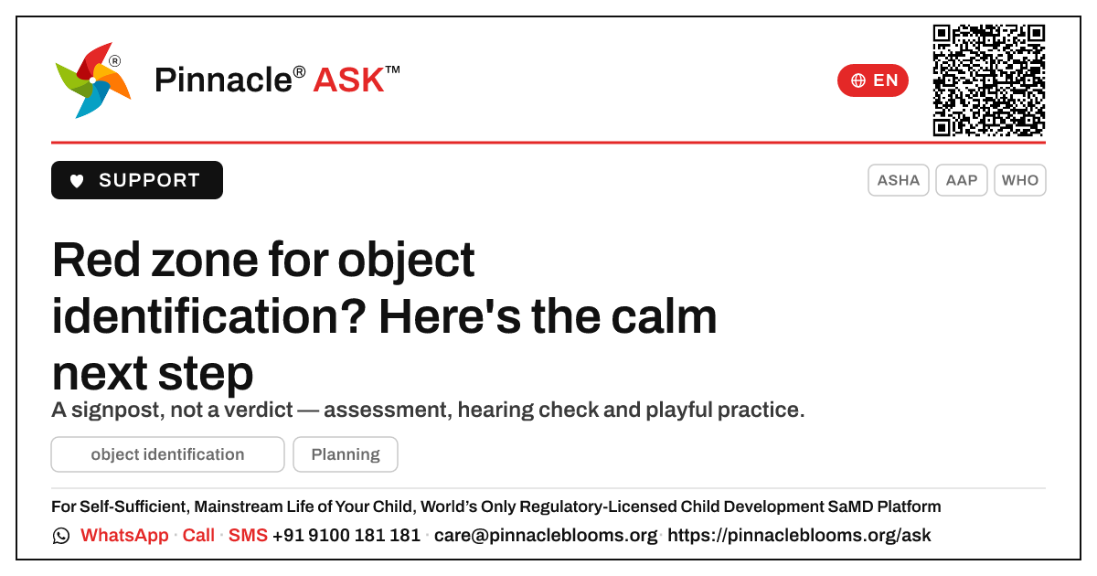 Red zone for object identification — what to do next — Pinnacle Ask answer card with a short explanation and QR link